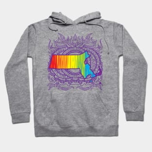 Massachusetts Mandala Pride Hoodie